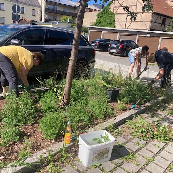 Unkrautjäte-Aktion; Bild Margit Hofmann